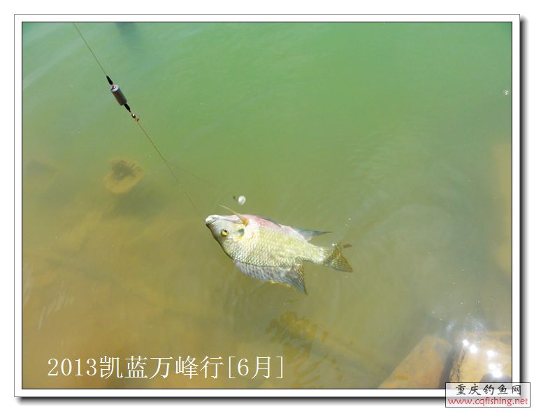 DSC00100.jpg