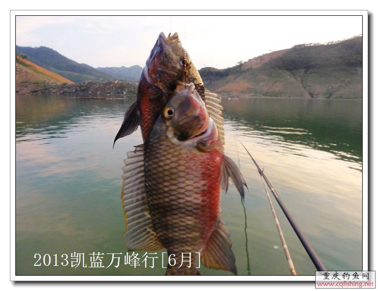 DSC00112.jpg
