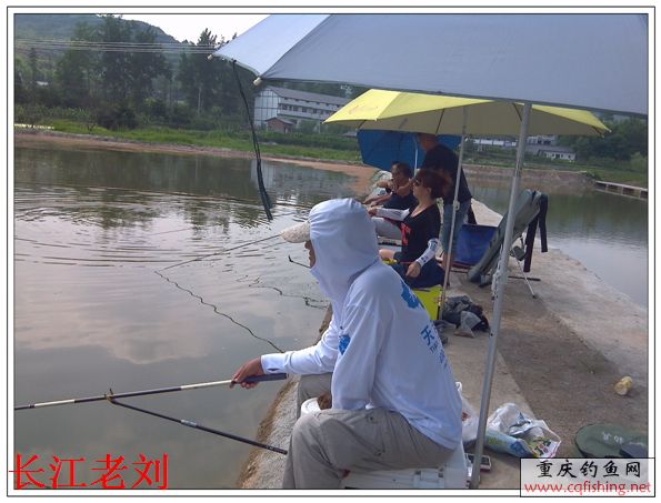 IMG_20130621_151642.jpg
