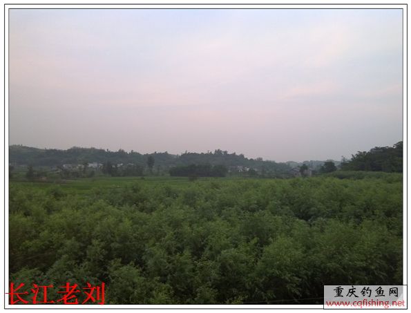 IMG_20130621_200104.jpg