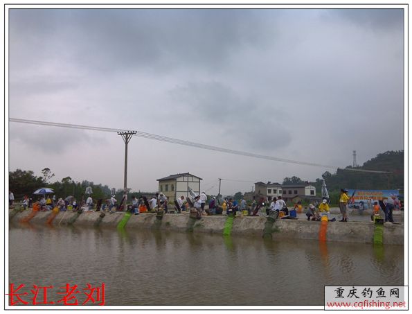 IMG_20130622_083937.jpg
