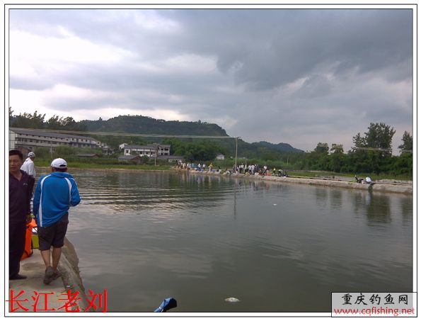 IMG_20130622_164249.jpg