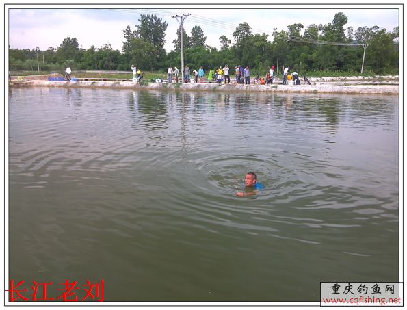 IMG_20130622_164430.jpg