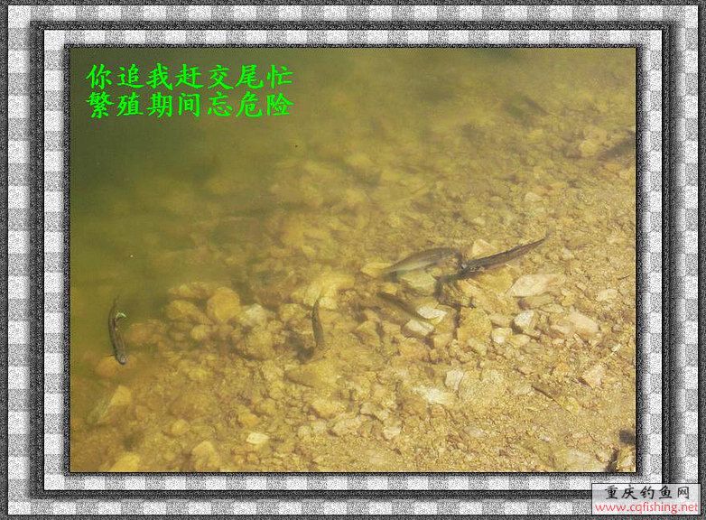 nEO_IMG_nEO_IMG_IMG_3965.jpg