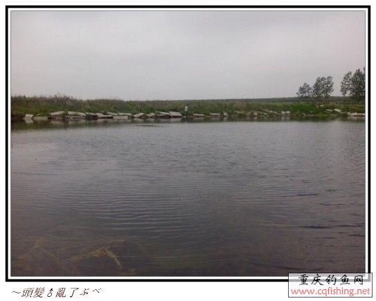 conew_img_20130606_085351.jpg