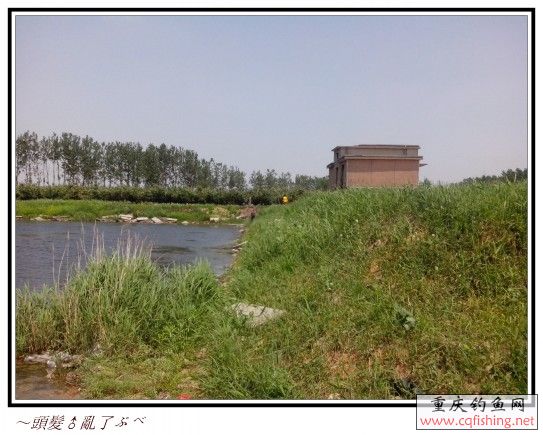 conew_img_20130606_114215.jpg