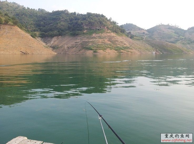 QQͼƬ20130630100940.jpg