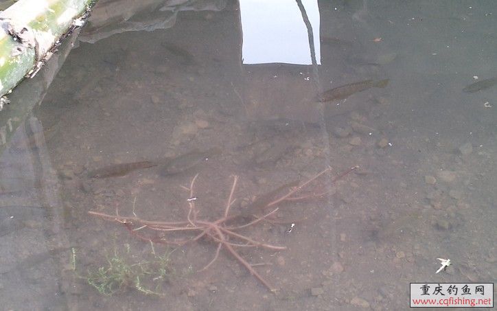 QQͼƬ20130630095922.jpg
