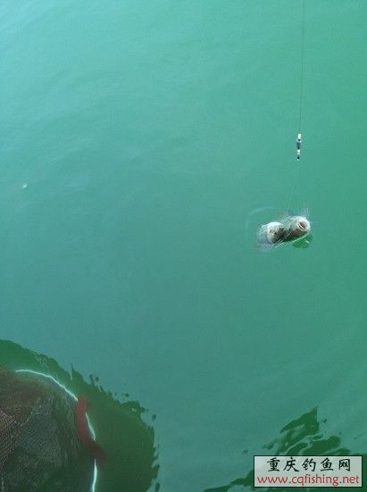 QQͼƬ20130630095947.jpg