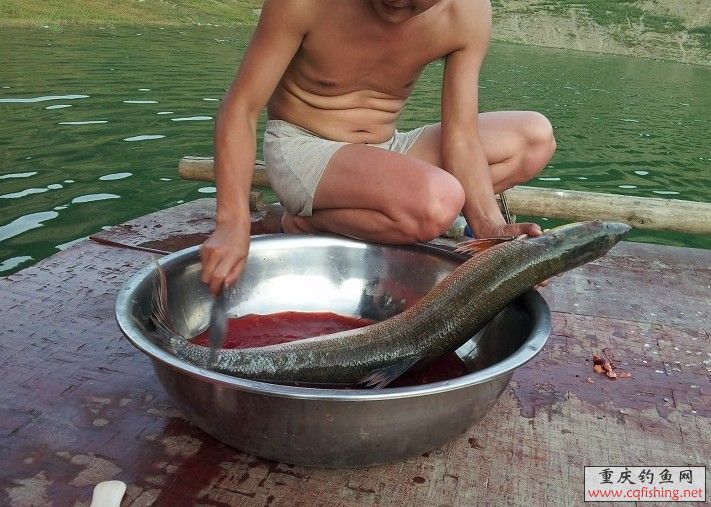 QQͼƬ20130630100044.jpg