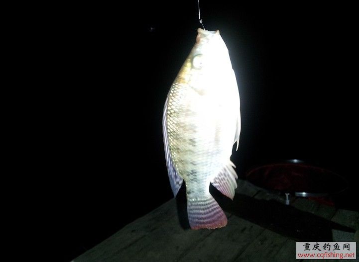 QQͼƬ20130630100402.jpg