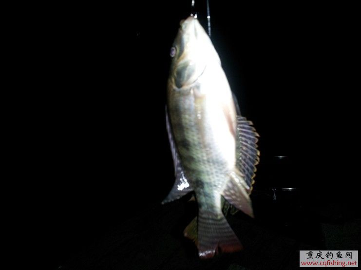 QQͼƬ20130630100817.jpg