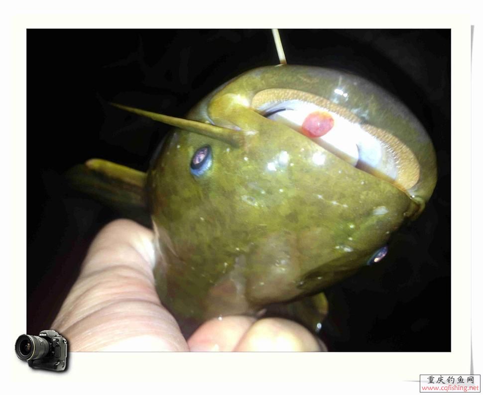 Ƭ 003.jpg
