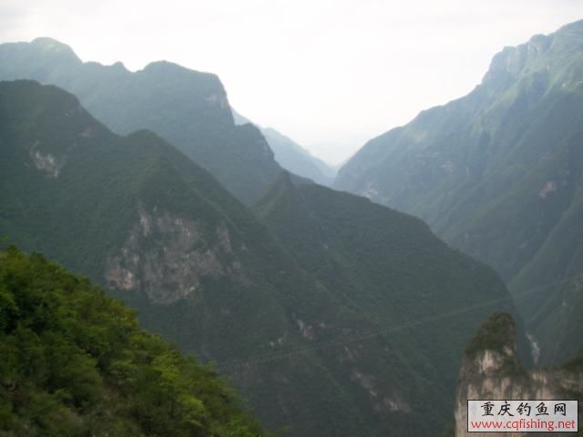 150557mszyao6g8y6e2zgg.jpg