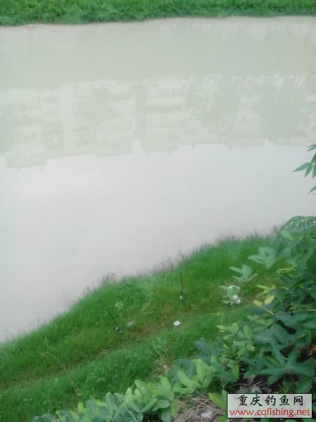 162152a0kd1eotjxzgofon.jpg