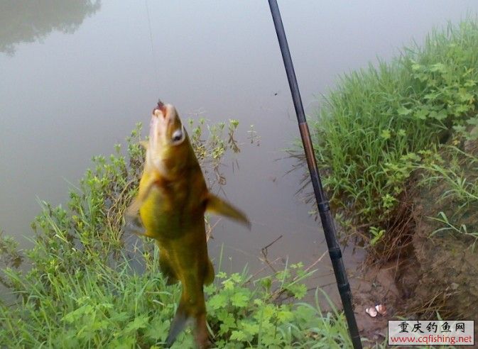 QQͼƬ20130708134251.jpg