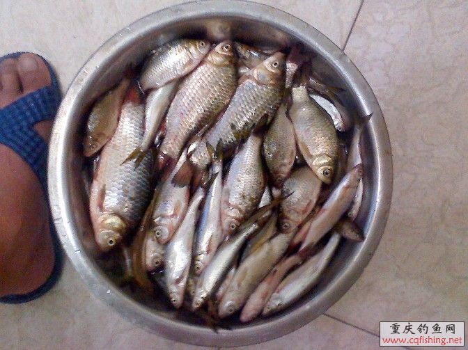 QQͼƬ20130708134153.jpg