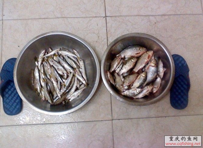 QQͼƬ20130708134219.jpg