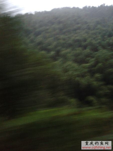 150558t6mkpzbwk2x5ke5n.jpg
