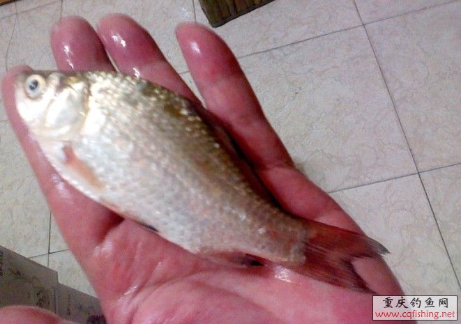 QQͼƬ20130712234835.jpg