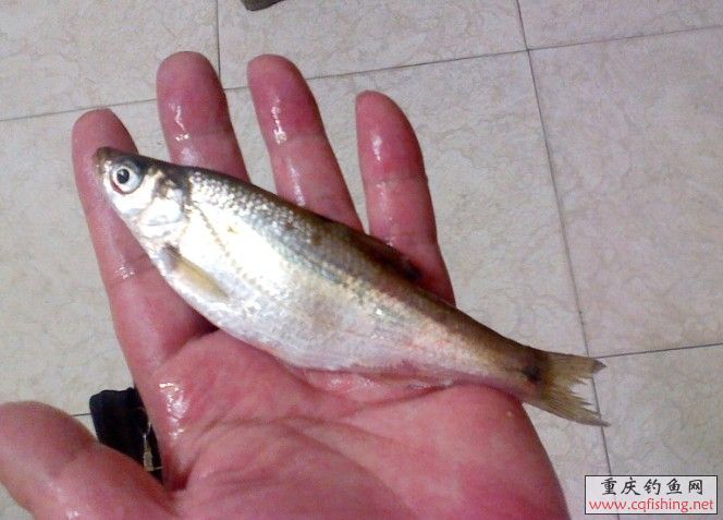 QQͼƬ20130712234847.jpg