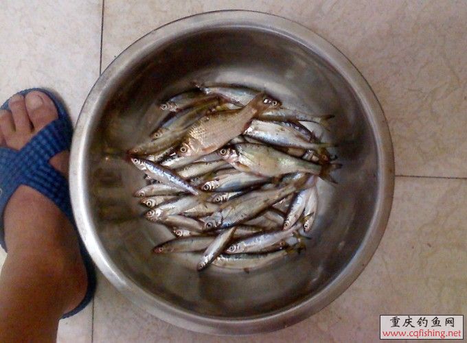 QQͼƬ20130712234813.jpg