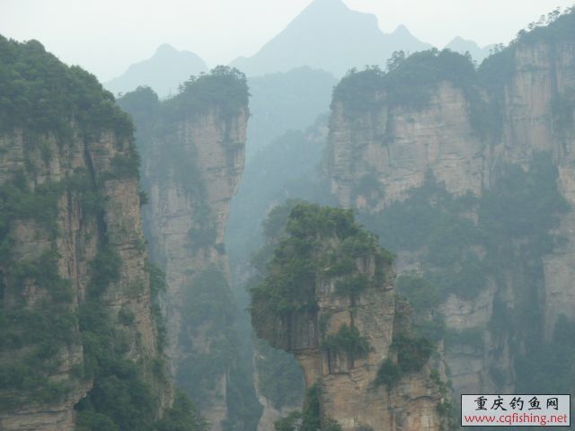 P1030497.JPG