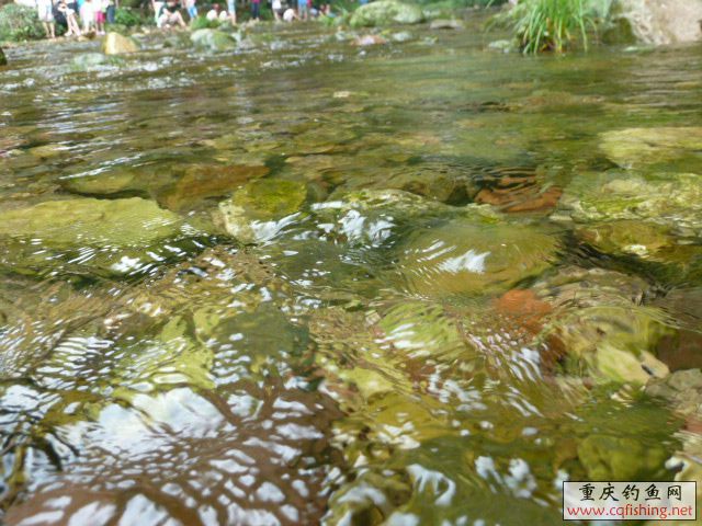 P1030599.JPG