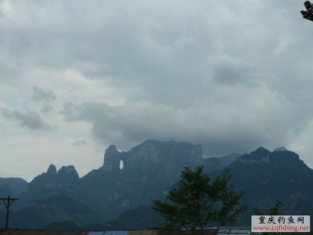 P1030707.JPG