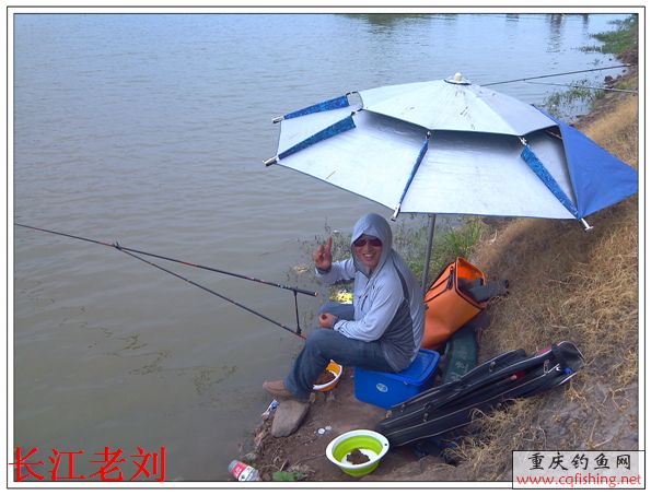 IMG_20130720_144736.jpg