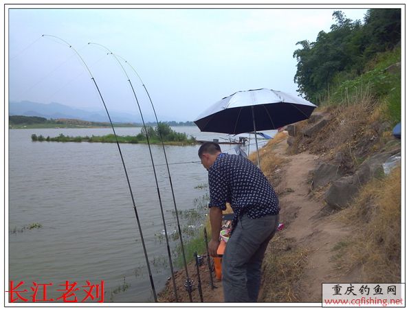IMG_20130720_144757.jpg
