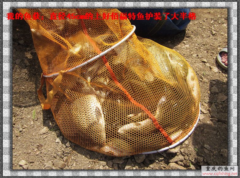 nEO_IMG_IMG_4170.jpg