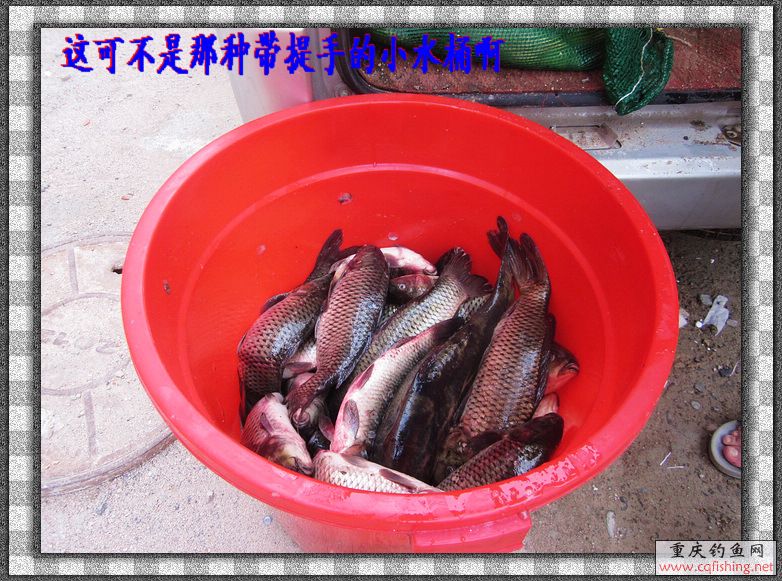 nEO_IMG_IMG_4192.jpg