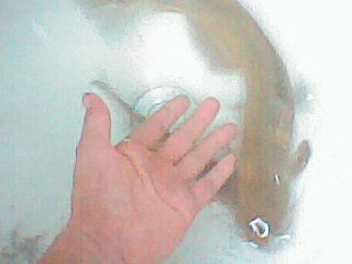 photo17233937.jpg