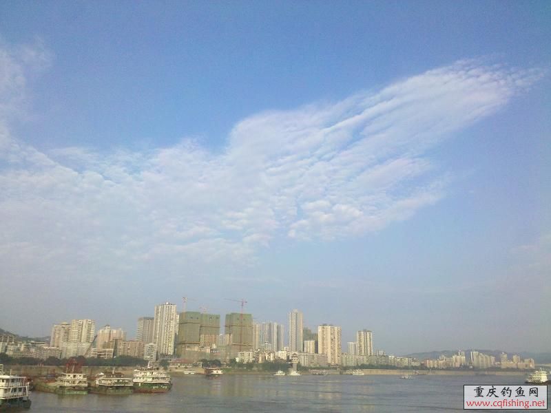 峿3.JPG
