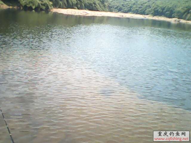 IMG0122A.jpg