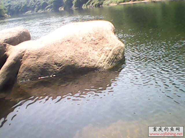 IMG0123A.jpg