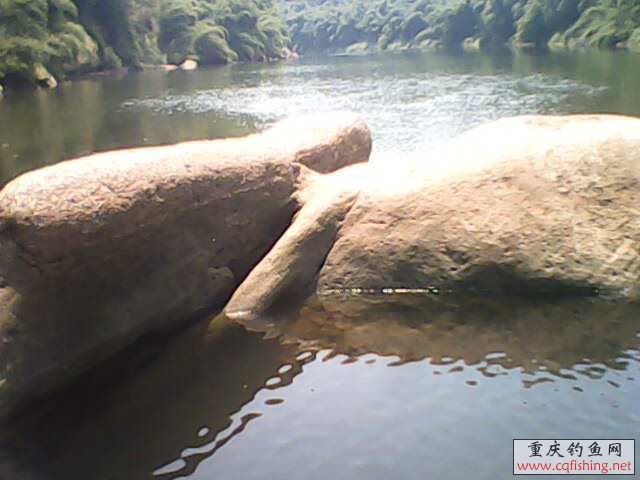 IMG0124A.jpg