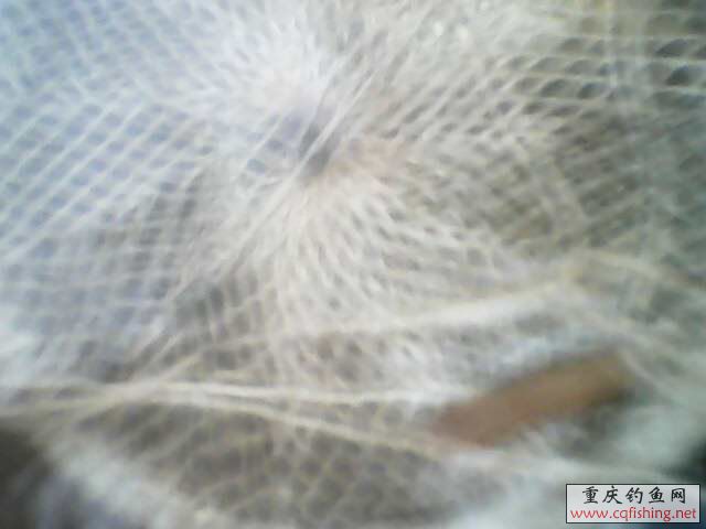 IMG0126A.jpg