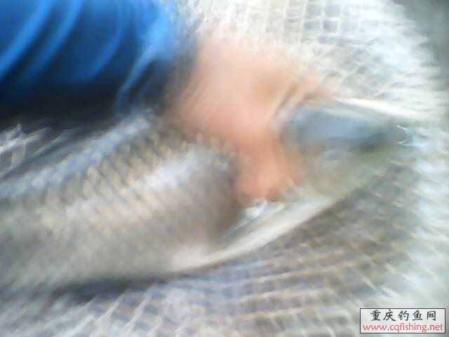 IMG0128A.jpg