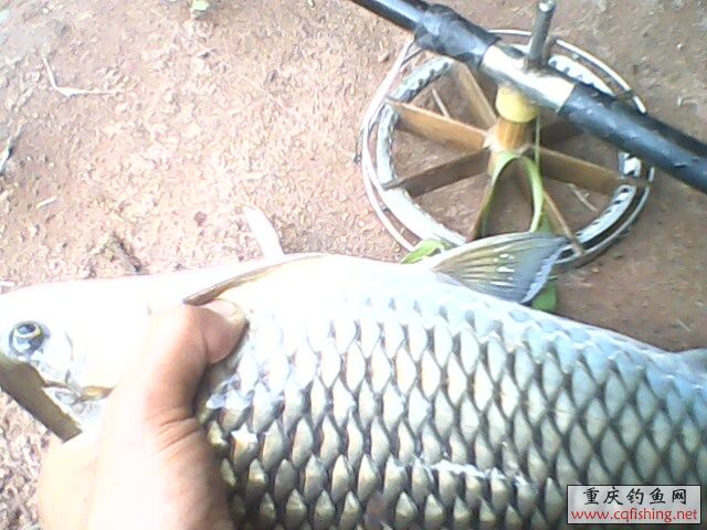 IMG0150A.jpg