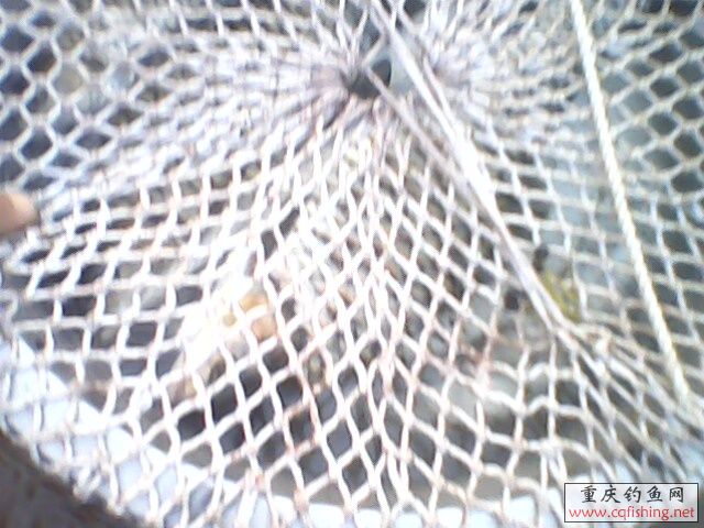IMG0155A.jpg