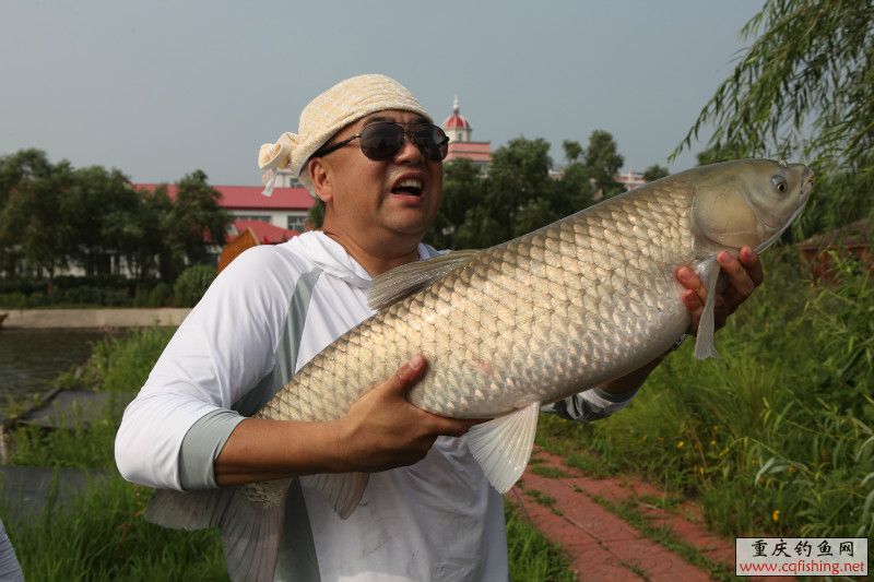 psbCABCT6C1.jpg