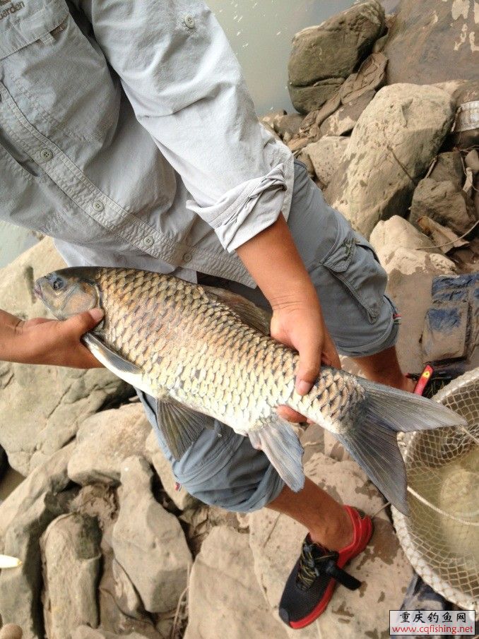 QQͼƬ20130805230236.jpg