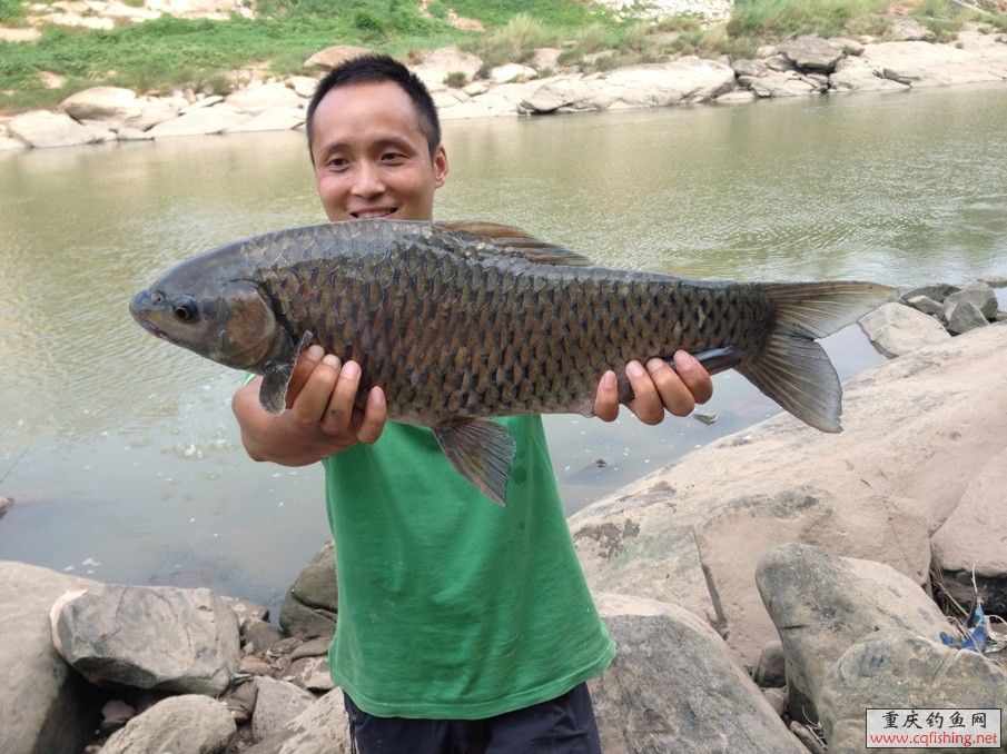 QQͼƬ20130805230206.jpg