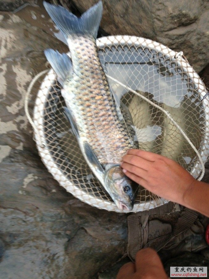 QQͼƬ20130805230301.jpg