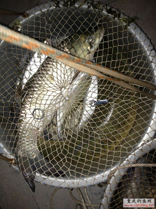 QQͼƬ20130805230024.jpg