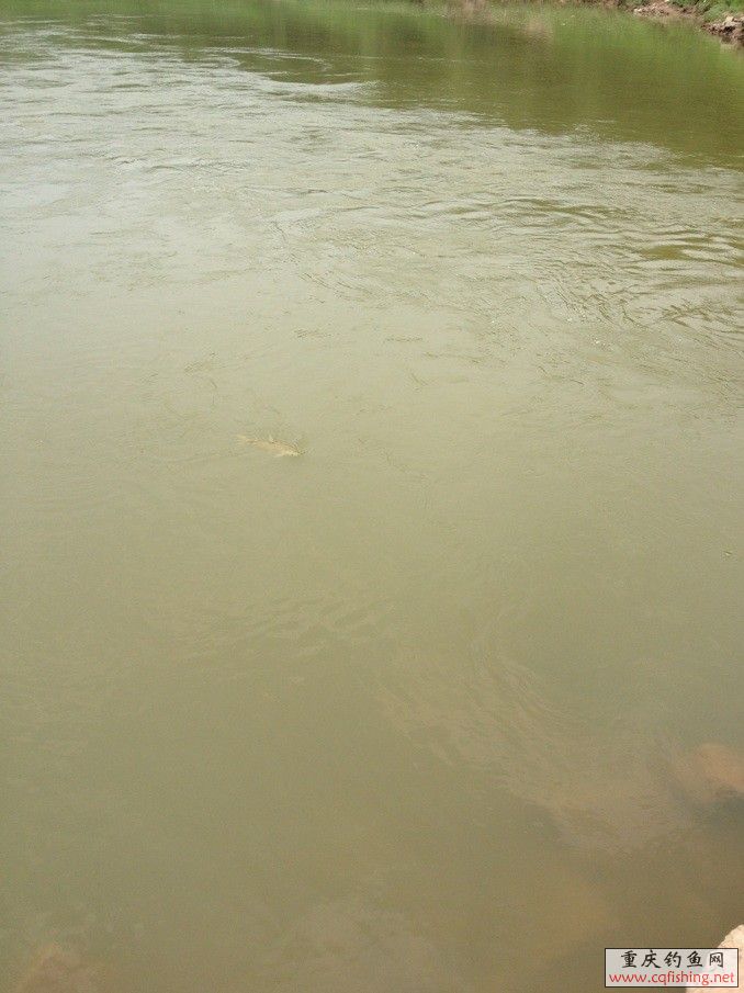 QQͼƬ20130805230620.jpg