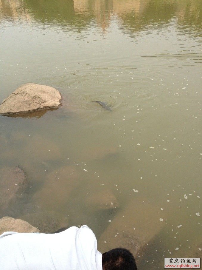 QQͼƬ20130805230344.jpg