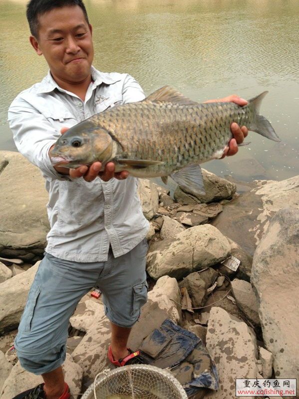 QQͼƬ20130805230229.jpg